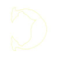 Meter Wedding Meter Wedding