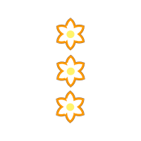 Meter Wedding Meter Wedding