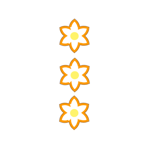 Meter Wedding Meter Wedding