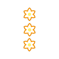 Meter Wedding Meter Wedding