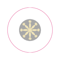 Midwife Wedding Midwife Wedding