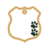 Mirror Wedding Mirror Wedding