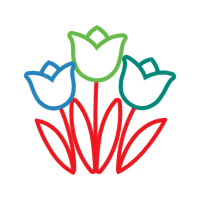 Money Wedding Money Wedding