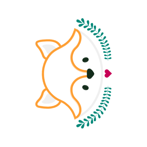 Notary Public Wedding