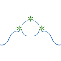 Our Lady Of F Tima Wedding