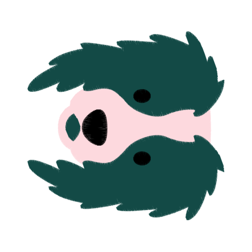 Peccaries Wedding Peccaries Wedding