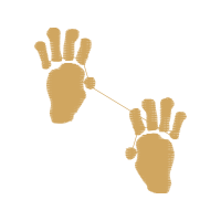 Pediculus Humanus Wedding