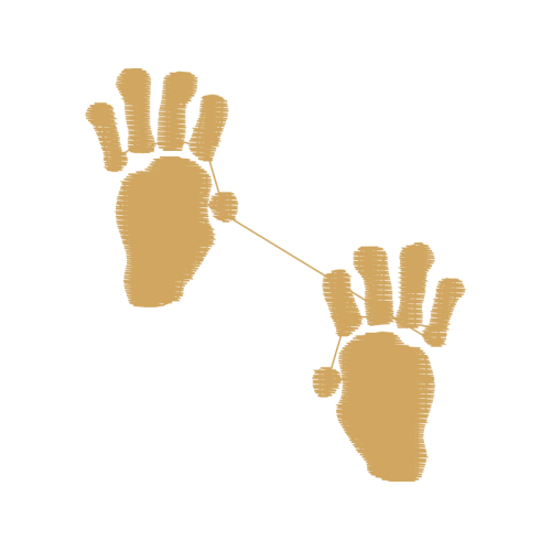 Pediculus Humanus Wedding Pediculus Humanus Wedding