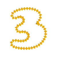 Pirineos Orientales Wedding