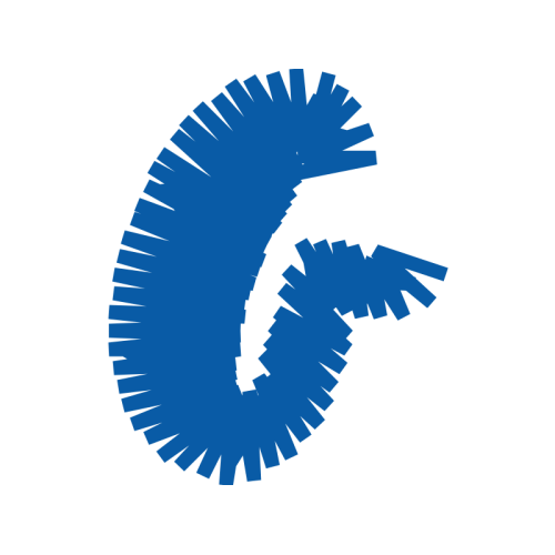 Platter Wedding Platter Wedding