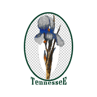 Portable Network Graphics Wedding