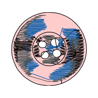 Raiganj Municipal Corporation Wedding