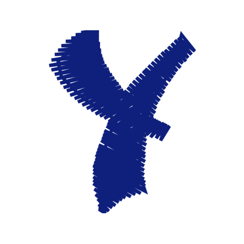 Red Shouldered Hawk Wedding Red Shouldered Hawk Wedding