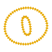 Ring Wedding Ring Wedding