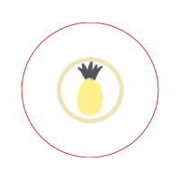 Seedless Fruit Wedding Seedless Fruit Wedding