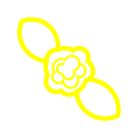 Shinee Wedding Shinee Wedding