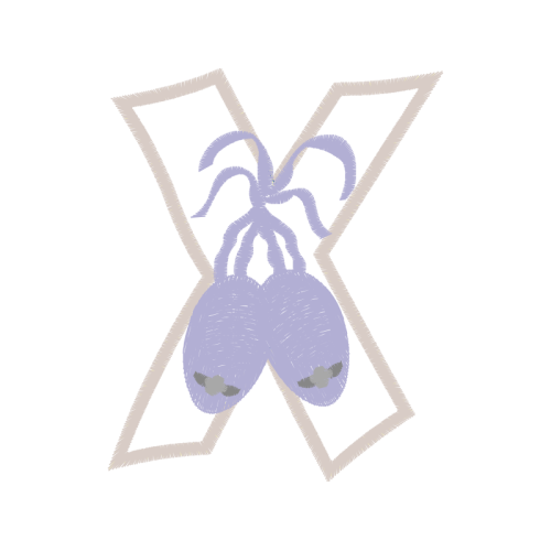 Silver Wedding Silver Wedding