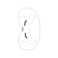 Silver Wedding Silver Wedding