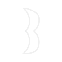 Silver Wedding Silver Wedding