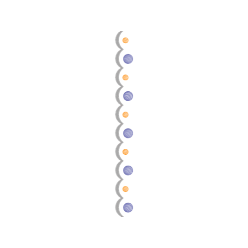 Sketch Wedding Sketch Wedding