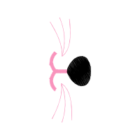 Sketch Wedding Sketch Wedding