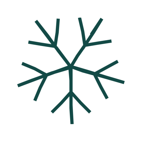 Snowflake Wedding Snowflake Wedding