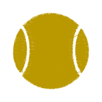 South Florida Bulls Wedding