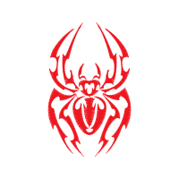 Spider Wedding Spider Wedding