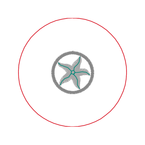 Splendor Wedding Splendor Wedding