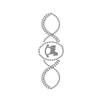 Sunglasses Wedding Sunglasses Wedding