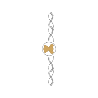 Swimsuit Wedding Swimsuit Wedding