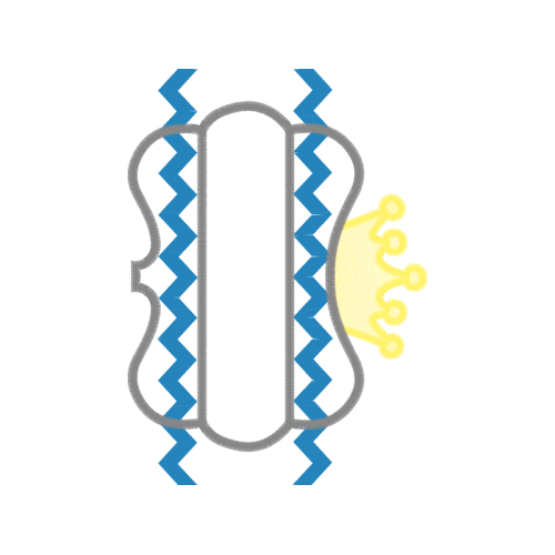 Symbol Wedding Symbol Wedding