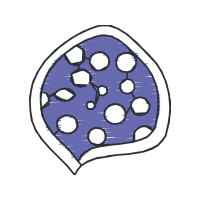 Symbol Wedding Symbol Wedding