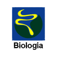 Symbol Wedding Symbol Wedding