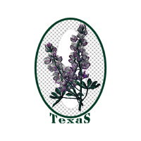 Symbol Wedding Symbol Wedding