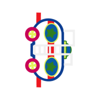 Symbol Wedding Symbol Wedding