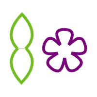 Symbol Wedding Symbol Wedding