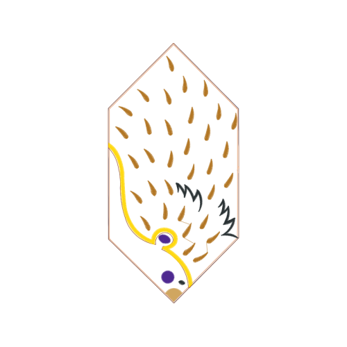 Symbol Wedding Symbol Wedding