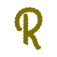 Symbol Wedding Symbol Wedding