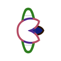 Symbol Wedding Symbol Wedding