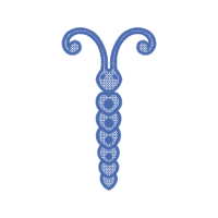 Symbol Wedding Symbol Wedding