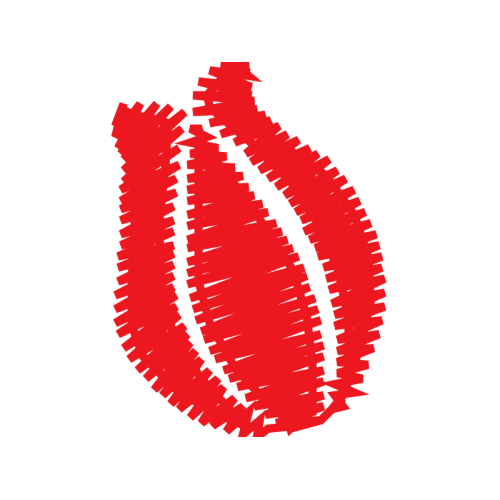 Symbol Wedding Symbol Wedding