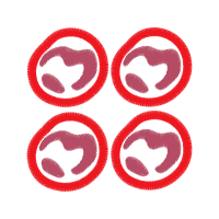 Symbol Wedding Symbol Wedding