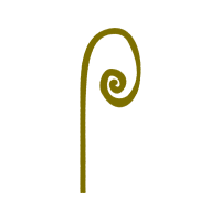 Symbol Wedding Symbol Wedding