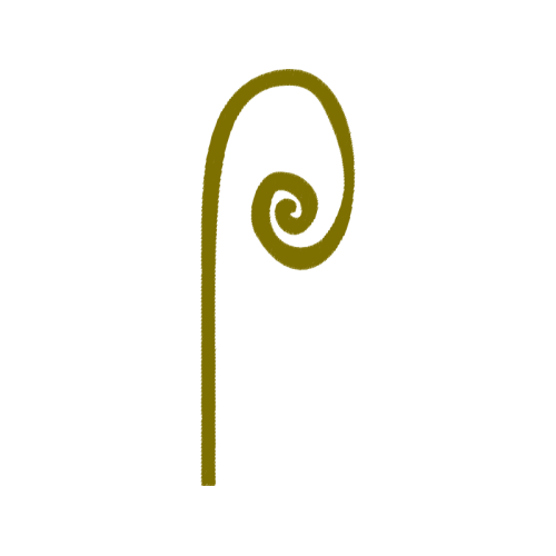 Symbol Wedding Symbol Wedding