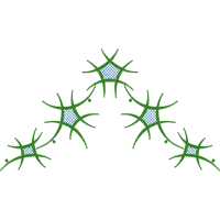 Symmetry Wedding Symmetry Wedding