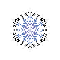 Symmetry Wedding Symmetry Wedding