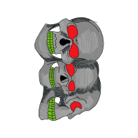 T Rkiye Wedding T Rkiye Wedding