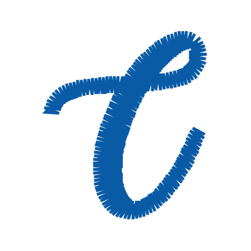 T Shirt Wedding T Shirt Wedding