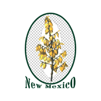 Tangled The Video Game Wedding